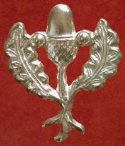 S21-Acorn and Oak Leaves Badge