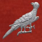 S40 Popinjay (parrot) badge