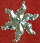 P6-Nativity Star