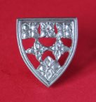 P53 Shield with Quatrefoil flowers devotional badge.