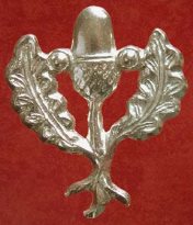 S21-Acorn and Oak Leaves Badge
