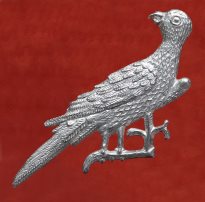 S40 Popinjay (parrot) badge